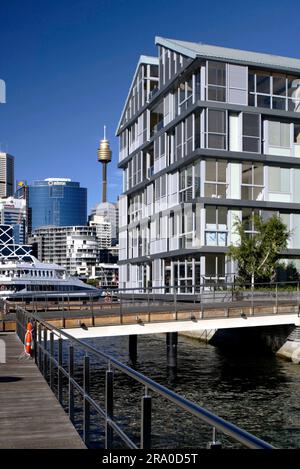 Wharf 8 und Wharf 9, gelegen an der Küste der Pyrmont Bay mit Darling Harbour im Osten und Darling Island und Jones Bay im Westen. Die Kaianlagen, die seit Jahrzehnten als Frachtwerft genutzt werden, wurden frisch in ein Wohngebäude mit 104 Apartments, 54 Jachthafenliegeplätzen und einer öffentlichen Promenade umgewandelt. Sydney, Australien. 29. Juni 2008 Stockfoto