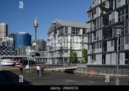 Wharf 8 und Wharf 9, gelegen an der Küste der Pyrmont Bay mit Darling Harbour im Osten und Darling Island und Jones Bay im Westen. Die Kaianlagen, die seit Jahrzehnten als Frachtwerft genutzt werden, wurden frisch in ein Wohngebäude mit 104 Apartments, 54 Jachthafenliegeplätzen und einer öffentlichen Promenade umgewandelt. Sydney, Australien. 29. Juni 2008 Stockfoto