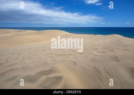 Naturschutzgebiet Maspalomas Dunes, Sanddünen, Atlantischer Ozean dahinter, Provinz Las Palmas, Gran Canaria, Kanarische Inseln, Spanien Stockfoto