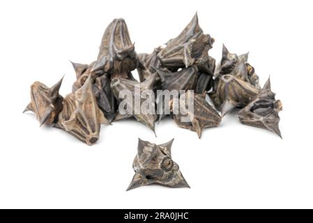 Ein Haufen Wasserkastanien (trapa natans), isoliert auf weißem Hintergrund Stockfoto