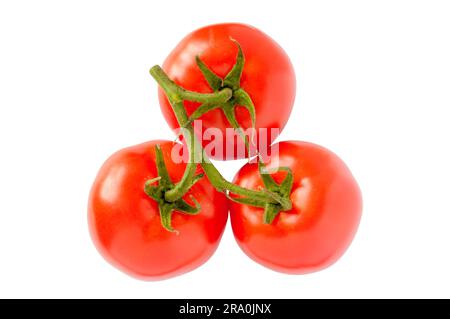 Drei rote Tomaten auf weißem Hintergrund. Ein Clipping-Pfad ist nur im Originalbild enthalten Stockfoto