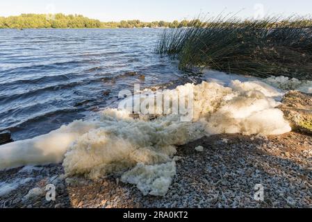 Weißer Schaum Verschmutzung im Fluss Dnepr in Kiew Stockfoto