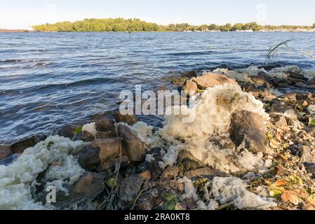 Weißer Schaum Verschmutzung im Fluss Dnepr in Kiew Stockfoto