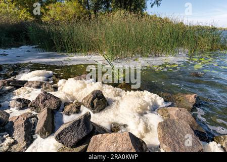 Weißer Schaum Verschmutzung im Fluss Dnepr in Kiew Stockfoto