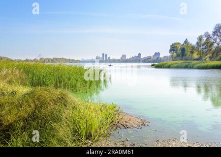 Schöner Abschluss der Sommertag in der Nähe des Flusses mit Pflanzen und Bäumen rund um Stockfoto