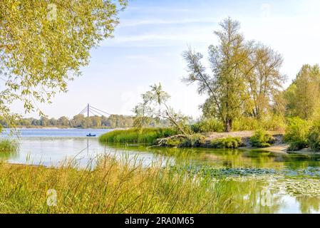 Schöner Abschluss der Sommertag in der Nähe des Flusses mit Pflanzen und Bäumen rund um Stockfoto