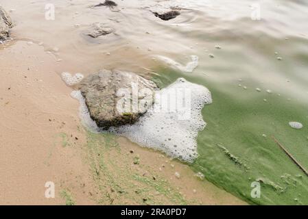 Weißer Schaum Verschmutzung im Fluss Dnepr in Kiew Stockfoto