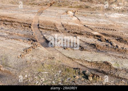 Tiefe Reifen Spuren auf der Straße von nassen, schlammigen Sand abgedeckt Stockfoto