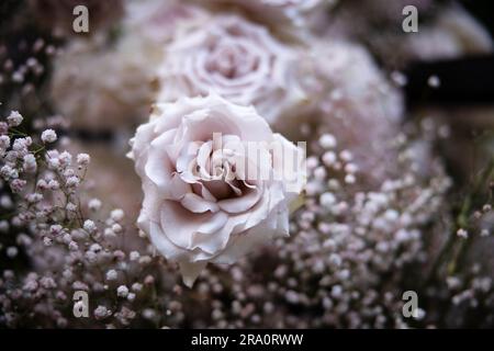 Wunderschöne Blumenarrangements mit Blumenstrauß-Hochzeit mit Rosen, Kerzen und dem Atem des Babys in einem üppigen botanischen Garten mit Treppe und Bogen. Stockfoto