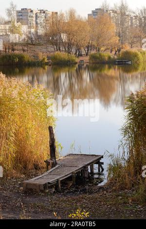Ponton und (Phragmites australis) in der Nähe des Sees im Herbst in Kiew, Ukraine Stockfoto