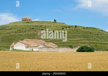 Bauernhof und Getreidefelder, Castilla-La, Kapelle auf dem Hügel, Provinz Cuenca, Castilla-La Mancha, Spanien Stockfoto