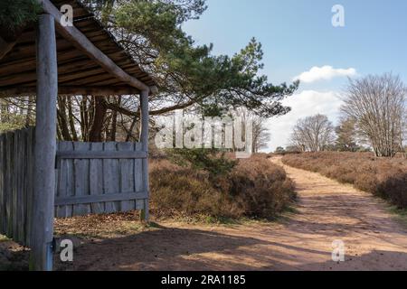 Hölzerner Unterschlupf in Heiden mit sandigem Pfad und Bäumen Stockfoto
