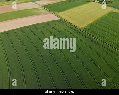 Blick von oben auf landwirtschaftliche Felder mit Kulturpflanzen und gepflügtem Boden im Frühjahr Stockfoto