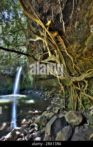 Twin Falls auf der Straße nach Hana, Maui Island, Hawaii, USA Stockfoto