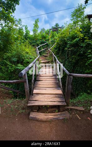 Holzsteg im grünen Wald. Schöner Wanderweg oder Fußweg über den Fluss. Holzweg, Weg, Weg von den Planken im Waldpark. Plitvic Stockfoto