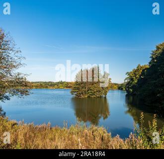 Teich mit kleiner Insel und bunten Bäumen am Herbsttag mit klarem Himmel - schöne Landschaft von Vogtland in der Nähe der Stadt Plauen in Deutschland Stockfoto