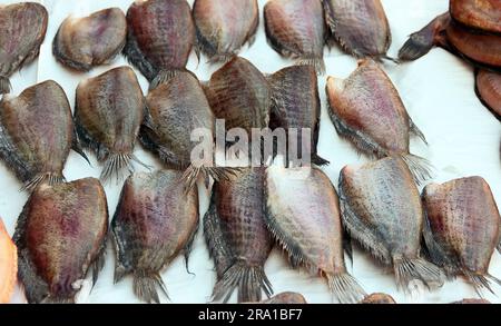 Thailändische Küche. Gebackener Fisch (Tilapia), heiß geräucherter Fisch Stockfoto