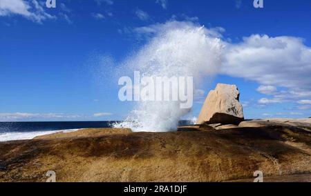 bicheno-Blowhole, das an einem sonnigen Tag in bicheno, tasmanien, australien, direkt am Meer sprudelt Stockfoto