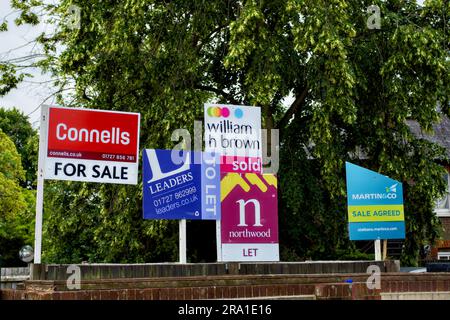 Boards in Folge von Immobilienmaklern, St.Albans, Hertfordshire, England, Großbritannien Stockfoto