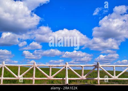 Tauchen Sie ein in die fesselnde Schönheit verschiedener Baumarten, harmonisch unter einem dramatischen wolkigen Himmel, der von strahlendem Sonnenlicht beleuchtet wird Stockfoto