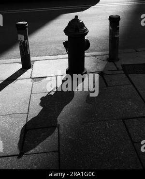 Feuerhydrant in schwarz-weißer Silhouette Stockfoto