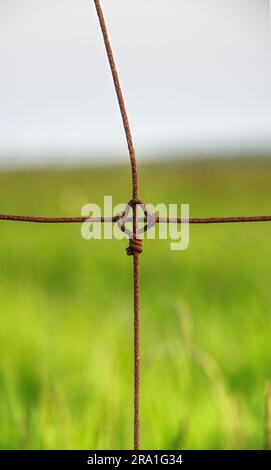 Draht in Querform Stockfoto