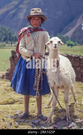 Peru, eine junge indianische Frau zwischen ihren Lamas, hielt auf dem Bauernhof ihrer Familie in der Region Cusco Stockfoto