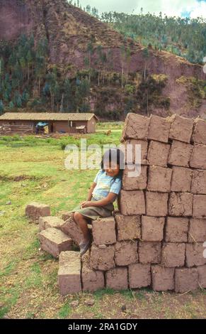 Peru, Region Cusco; Lehmsteine, eine Mischung aus Ton, Sand und kleinen Steinen; das traditionelle Baumaterial für Häuser. Stockfoto