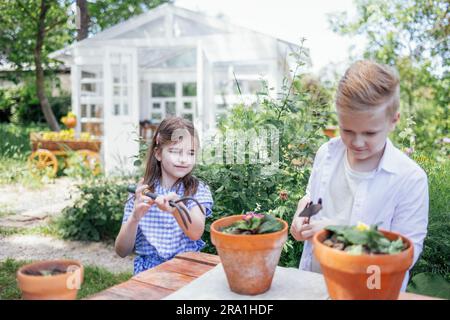 Zwei kleine Kinder Pflanzen Blumen in Tontöpfen im Garten. Ein süßes Mädchen und ein fröhlicher Junge sind im Gartenbau beschäftigt. Glückliche Kinder haben viel Spaß zusammen Stockfoto