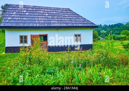 Der üppig grüne blühende Garten vor dem kleinen, weiß getünchten Landhaus Chernivtsi scansen, Ukraine Stockfoto