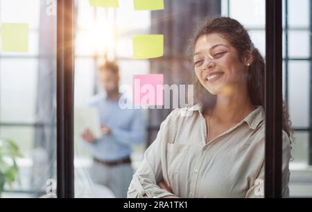 Ihre Vision zum Leben erwecken. Aufnahme einer selbstbewussten Geschäftsfrau, die ihrem Kollegen mit Haftnotizen an einer Glaswand im Büro eine Idee vorstellt. Stockfoto
