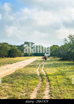 Reiter auf dem Dirt Trail auf der Texas Hill Country Ranch. Stockfoto