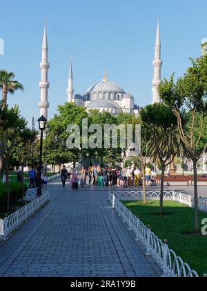 Gärten und die Sultan Ahmed aka Blaue Moschee dahinter, Sultanahmet Viertel, Istanbul, Türkei Stockfoto