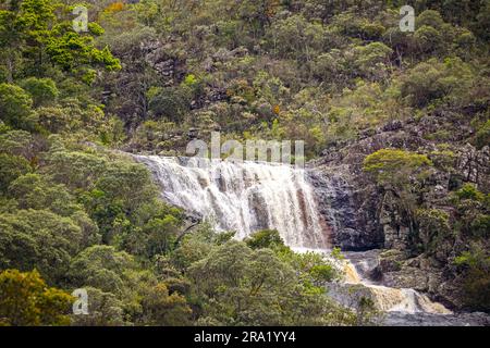Kleiner Wasserfall im dichten Regenwald, Naturpark Caraca, Minas Gerais, Brasilien Stockfoto