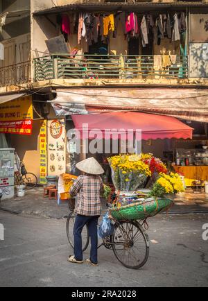 Eine Blumenverkäuferin schiebt ihr beladenes Fahrrad an einem Restaurant in Cau Go vorbei, in der Altstadt von Hanoi, Vietnam. Stockfoto