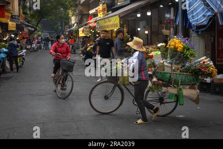 Eine Blumenverkäuferin schiebt ihr beladenes Fahrrad an einem anderen Radfahrer und Geschäften in Cau Go vorbei, innerhalb der Altstadt von Hanoi, Vietnam. Stockfoto