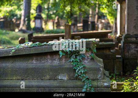 Der Elias-Friedhof in Dresden. Historischer Friedhof. Barocker camposanto mit einem Bestand an Grabsteinen aus zwei Jahrhunderten. Seit 1876 stillgelegt und seit 1924 geschlossen Stockfoto