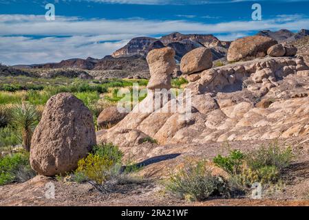 Felsformationen am Hoodoos Trail, River Road, Cerro de las Burras, Rio Grande in der Ferne, Big Bend Ranch State Park, Texas, USA Stockfoto