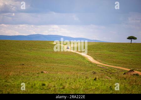 Ein Fahrzeug, das seinen Weg durch ein grasiges Feld navigiert Stockfoto