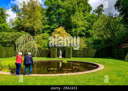 Zwei Besucher genießen die friedliche Ruhe des ruhigen Wassers im kreisförmigen Pool Garden am Knightshayes Court, nr Tiverton, Devon, England, Großbritannien Stockfoto