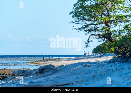 Korallenlagune rund um Lady Elliot Island, Great Barrier Reef, Queensland, Australien Stockfoto