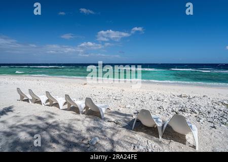 Sonnenliegen am Lighthouse Beach, Lady Elliot Island Eco Resort, Queensland, Australien Stockfoto