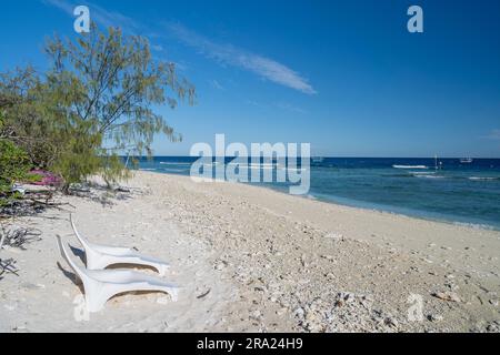 Sonnenliegen am Lighthouse Beach, Lady Elliot Island Eco Resort, Queensland, Australien Stockfoto