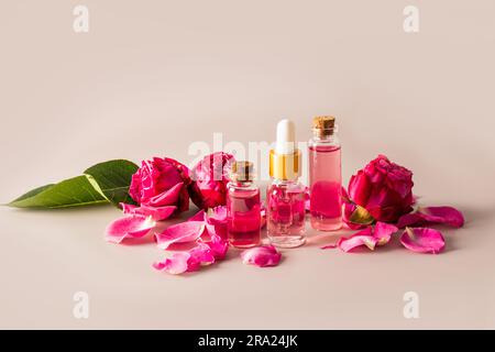 Ein Satz Kosmetika auf der Basis von Rosenöl in verschiedenen Flaschen unter den Knospen kleiner Rosen auf beigem Hintergrund. Häusliche Pflege. Stockfoto