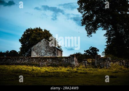 Ein verfallenes Bauernhaus aus Stein in der irischen Landschaft, umgeben von üppigen grünen Feldern Stockfoto