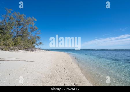 Korallenlagune rund um Lady Elliot Island, Great Barrier Reef, Queensland, Australien Stockfoto