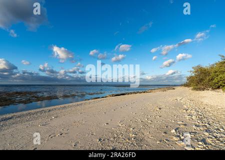 Korallenlagune rund um Lady Elliot Island, Great Barrier Reef, Queensland, Australien Stockfoto