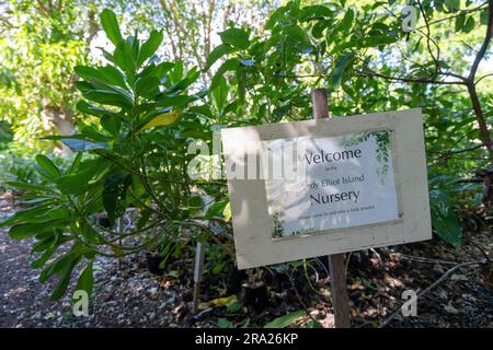 Hinweisschild für die Baumschule mit einheimischen Pflanzen, Lady Elliot Island, Queensland, Australien Stockfoto