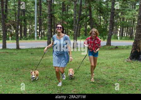 Mutter und Tochter Rennen mit ihren Corgi-Hunden im Wald Stockfoto