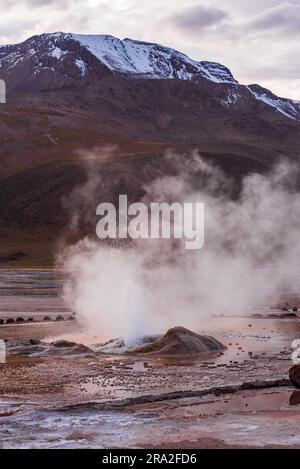 Geiser de Tatio in der Atacama-Wüste Stockfoto